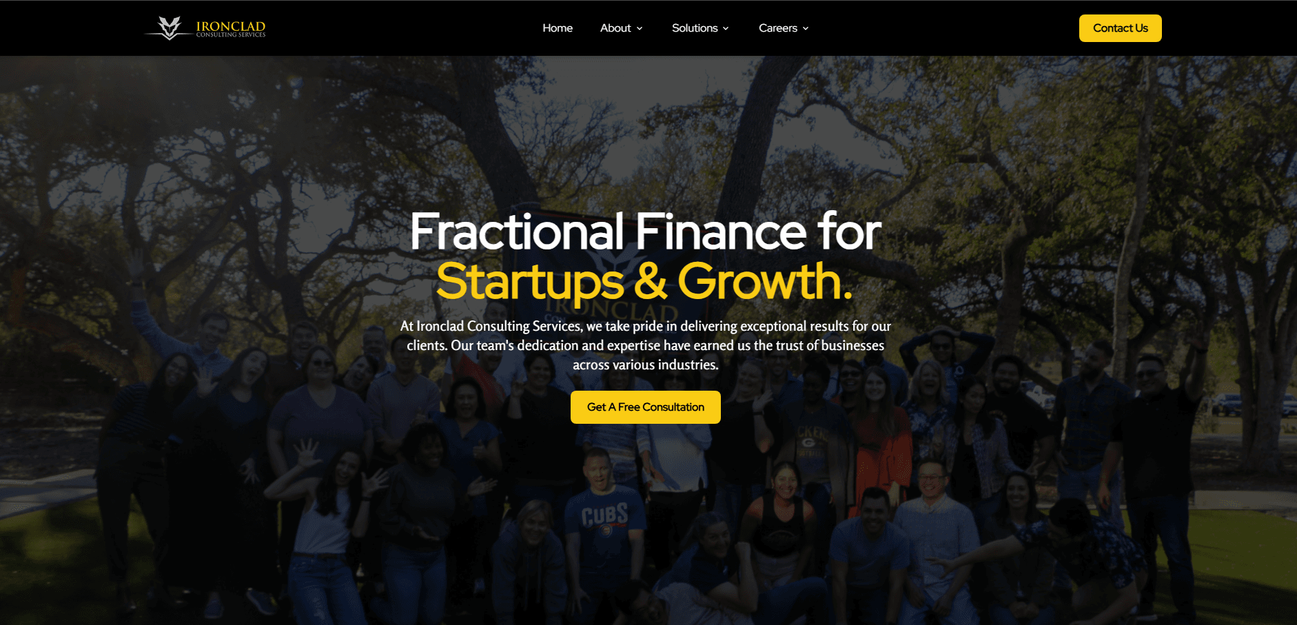 IronClad Consulting Services